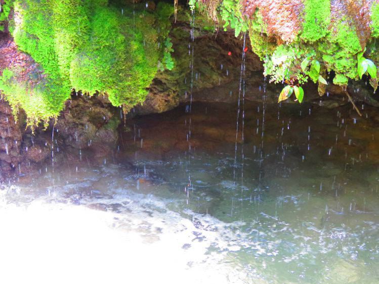 cachoeira do fantasma na boca da onça em mato grosso do sul.