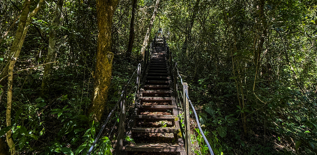 Nove meses para construir uma escada: os bastidores da Boca da Onça Ecotour Nove meses para construir uma escada: os bastidores da Boca da Onça Ecotour